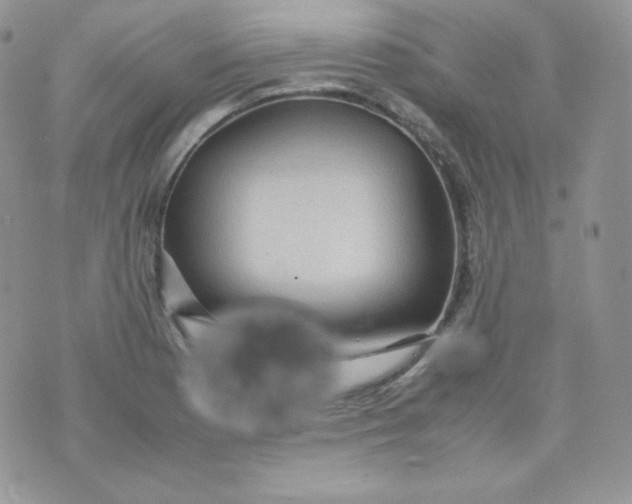 X0000070371177200606301849