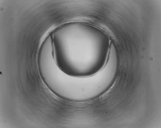 X0000070371180200606301849