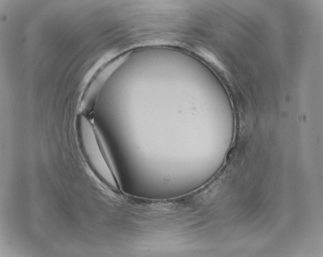 X0000070371181200606301849