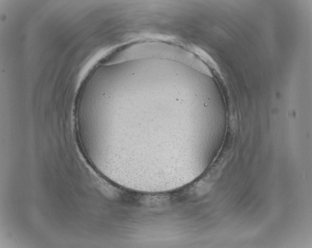 X0000070371183200606301849