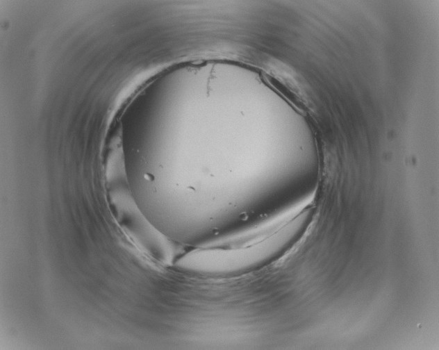 X0000070371184200606301849