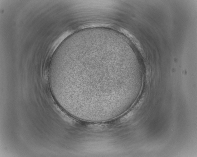 X0000070371185200606301849