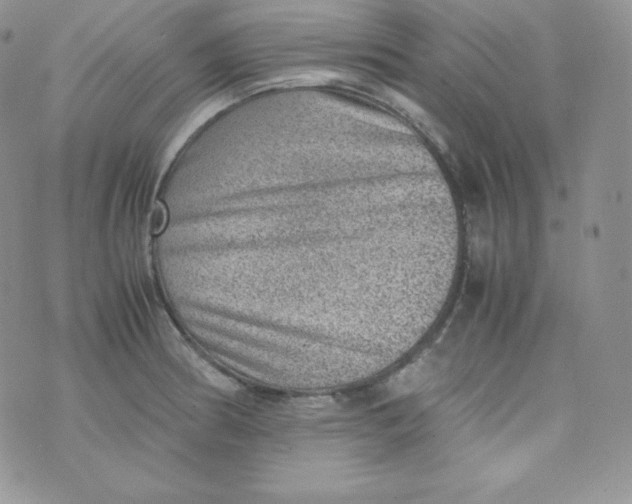 X0000070371186200606301849