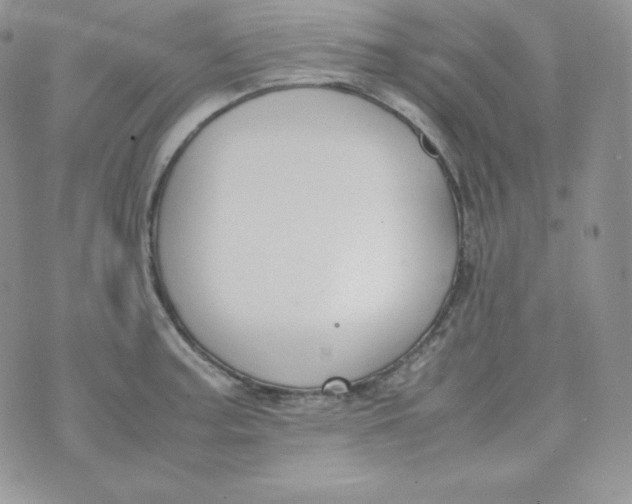 X0000070371187200606301849