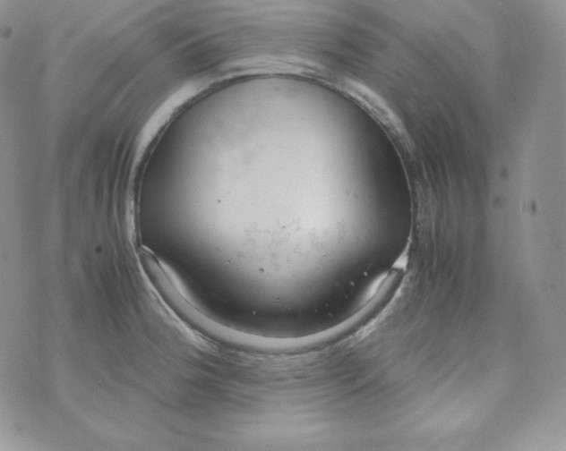 X0000070371188200606301849