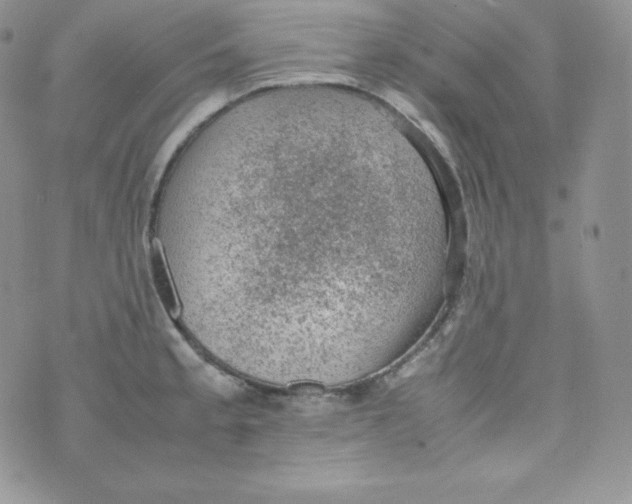 X0000070371189200606301849