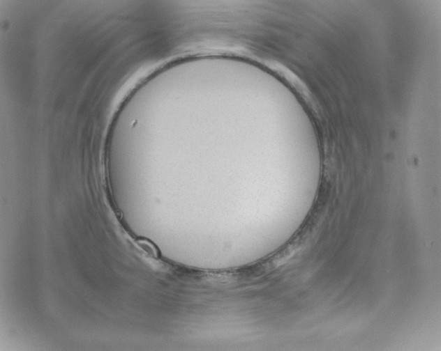 X0000070371191200606301848