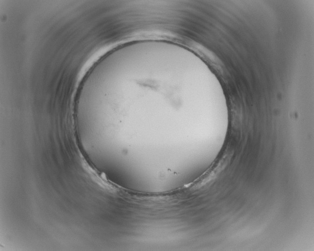 X0000070371192200606301848