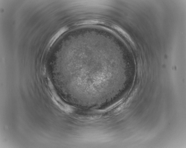 X0000070371193200606301848