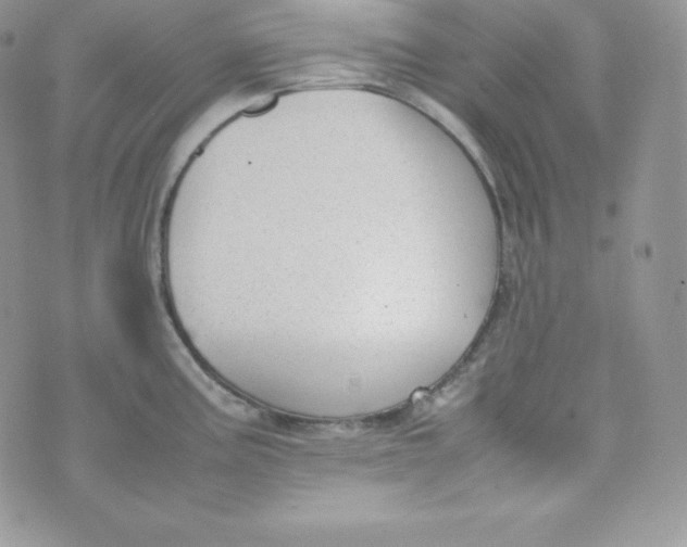 X0000070371195200606301848