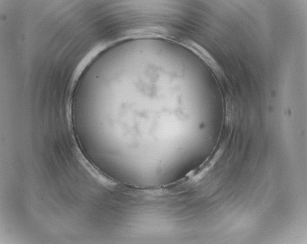 X0000070371196200606301848