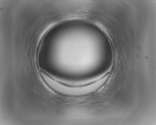 X0000070371197200606301848