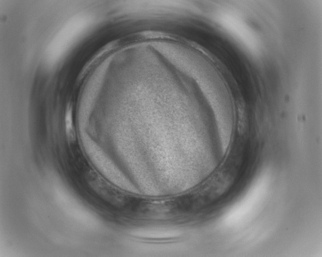 X0000070371198200606301848