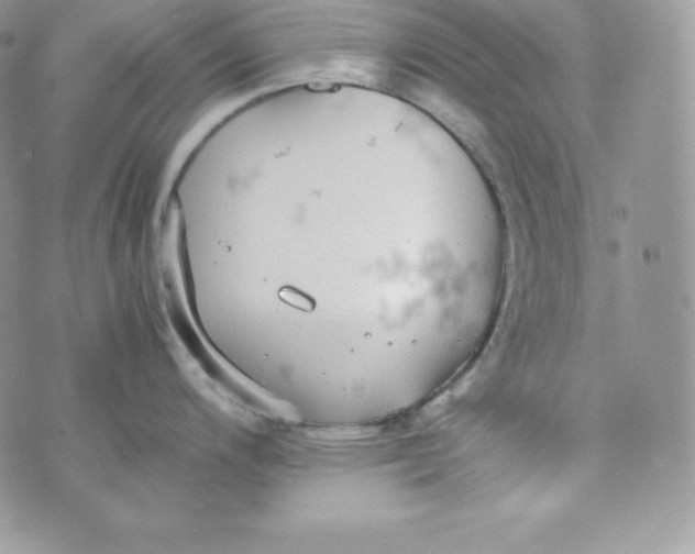 X0000070371200200606301848