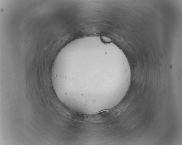 X0000070371201200606301848