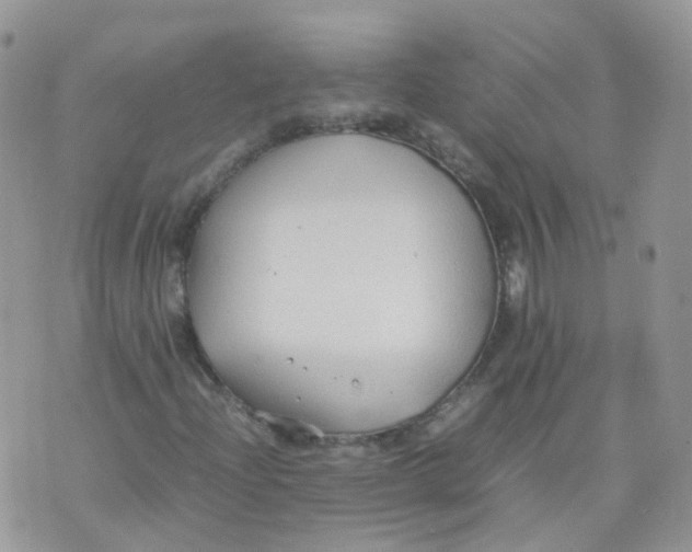 X0000070371204200606301848