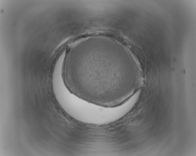 X0000070371206200606301848