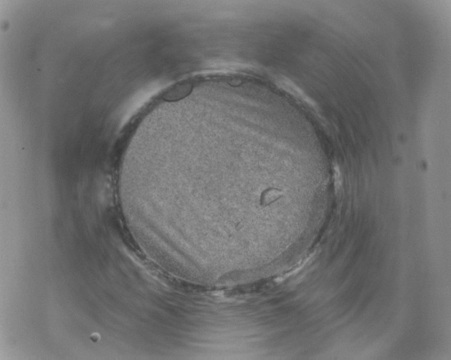 X0000070371208200606301848