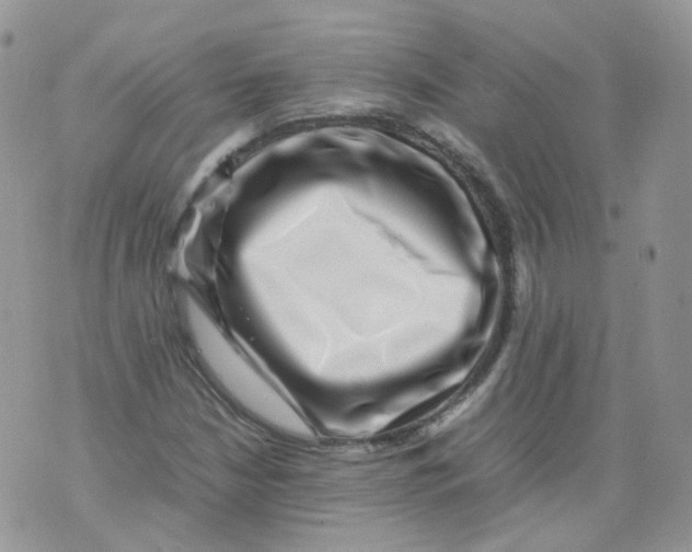 X0000070371210200606301848