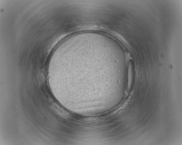 X0000070371212200606301848