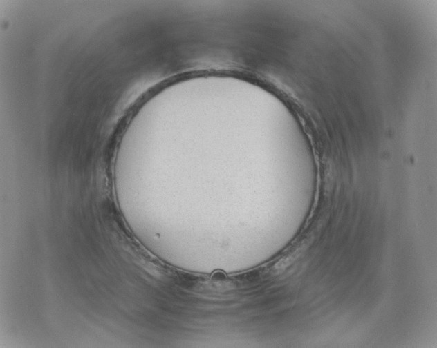 X0000070371215200606301848