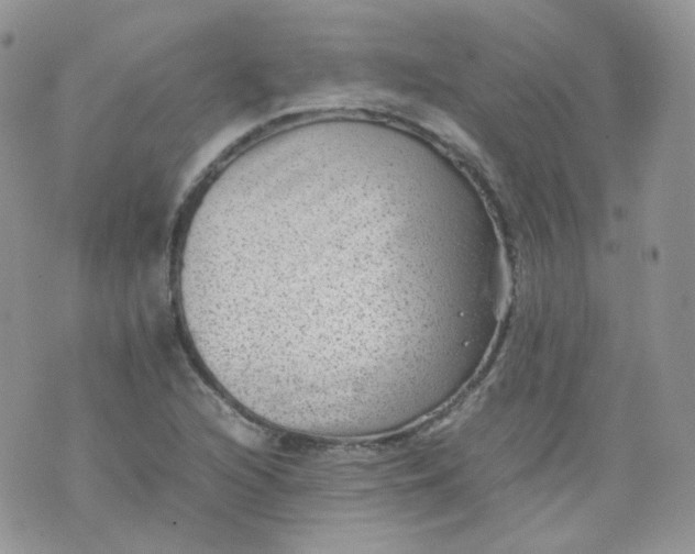 X0000070371216200606301848