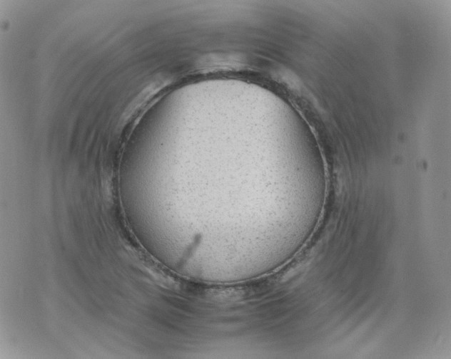 X0000070371217200606301848