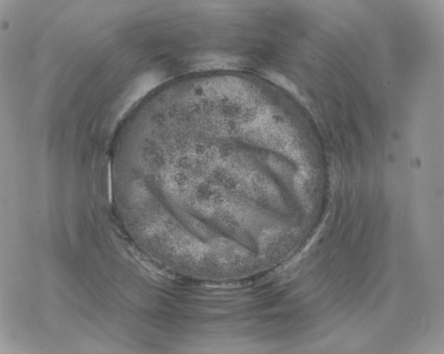 X0000070371219200606301848