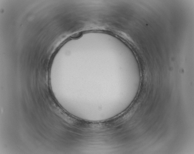 X0000070371220200606301848