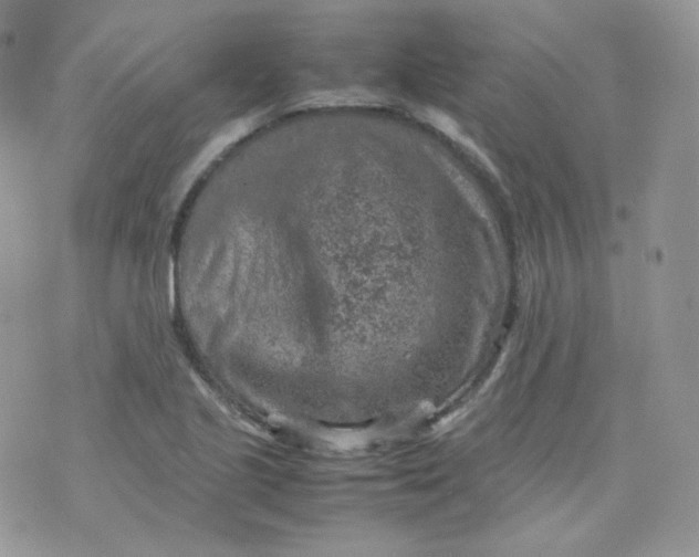 X0000070371221200606301848