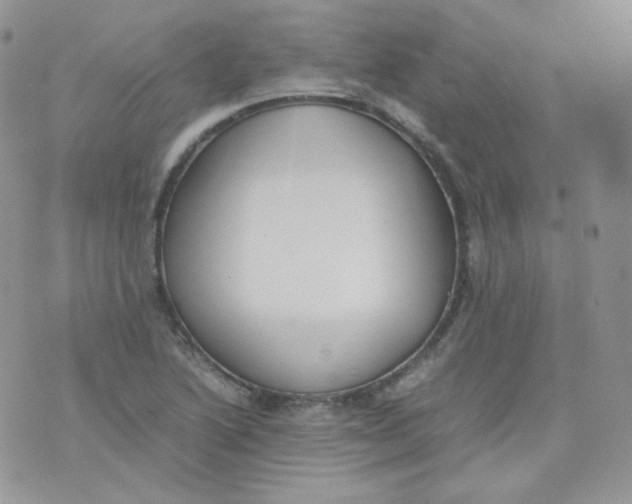 X0000070371222200606301848