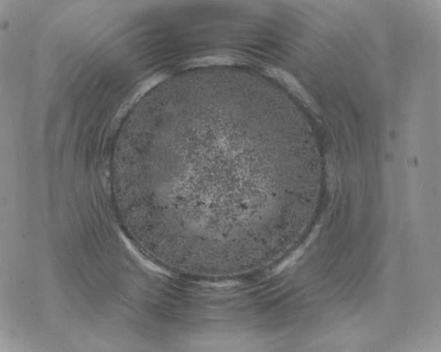 X0000070371225200606301848