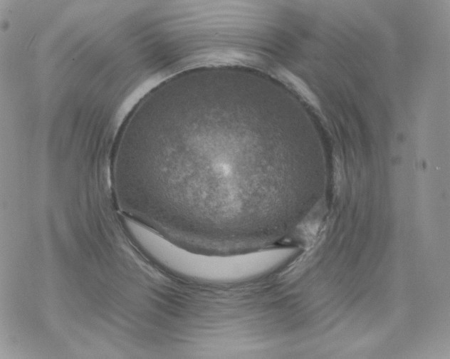 X0000070371226200606301848