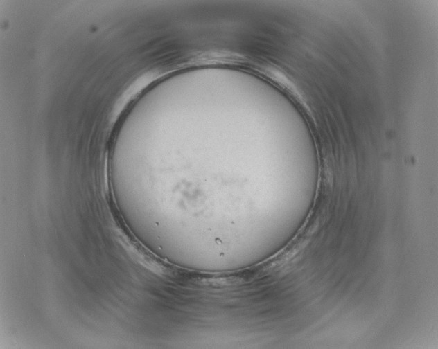 X0000070371227200606301848