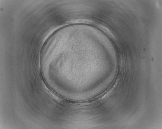 X0000070371228200606301848