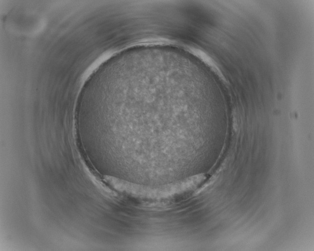 X0000070371229200606301848