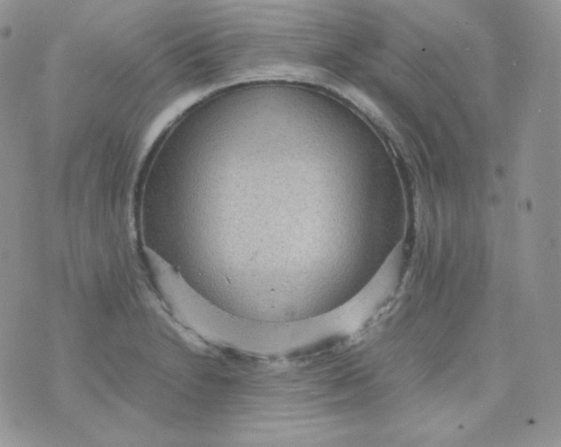 X0000070371230200606301848