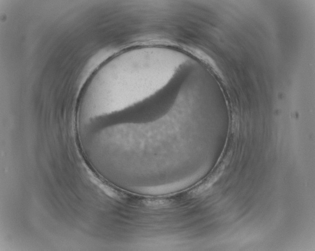 X0000070371231200606301848