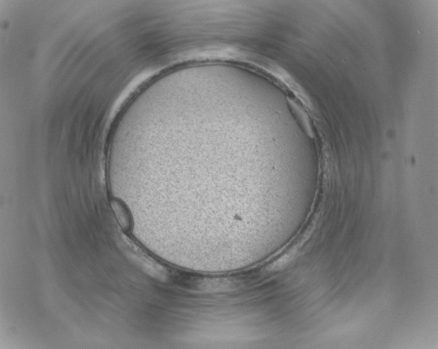 X0000070371232200606301848