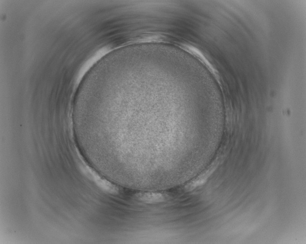 X0000070371235200606301848