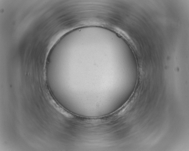 X0000070371236200606301848