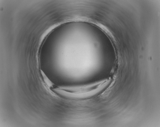 X0000070371238200606301848