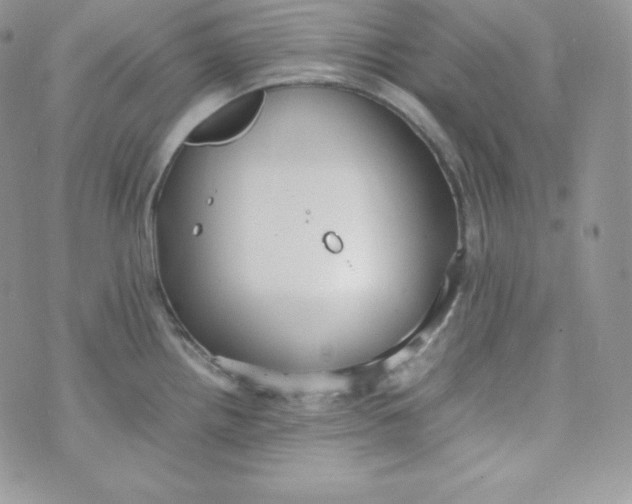 X0000070371242200606301848