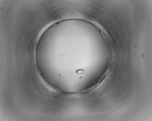 X0000070371246200606301848