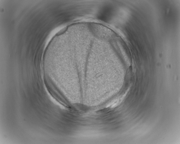 X0000070371247200606301848