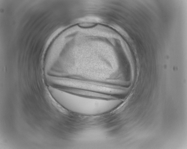 X0000070371248200606301848