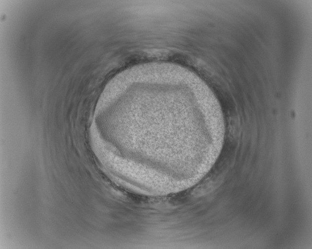 X0000070371249200606301848