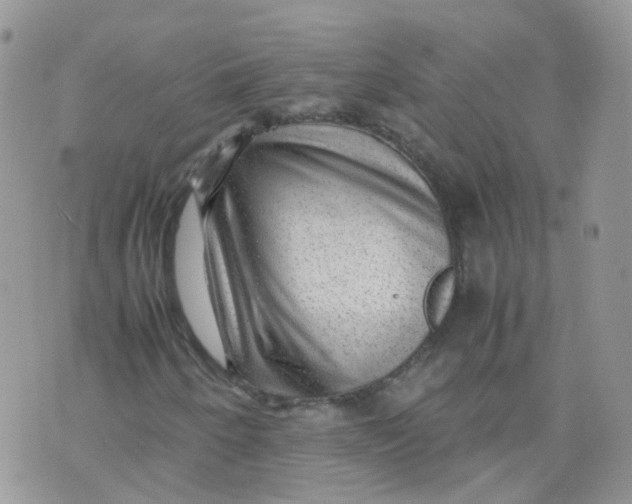 X0000070371250200606301848