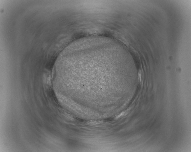 X0000070371251200606301848