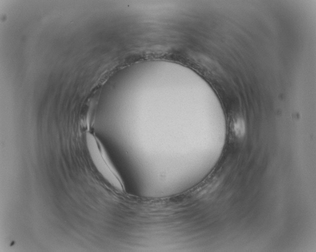 X0000070371252200606301848